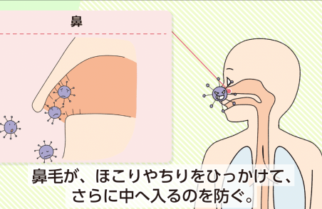 体を守るていこう力