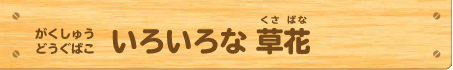 がくしゅうどうぐばこ いろいろな草花