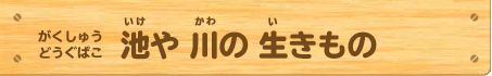 がくしゅうどうぐばこ 池や川の生きもの