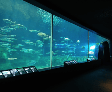 新潟市立水族館マリンピア日本海