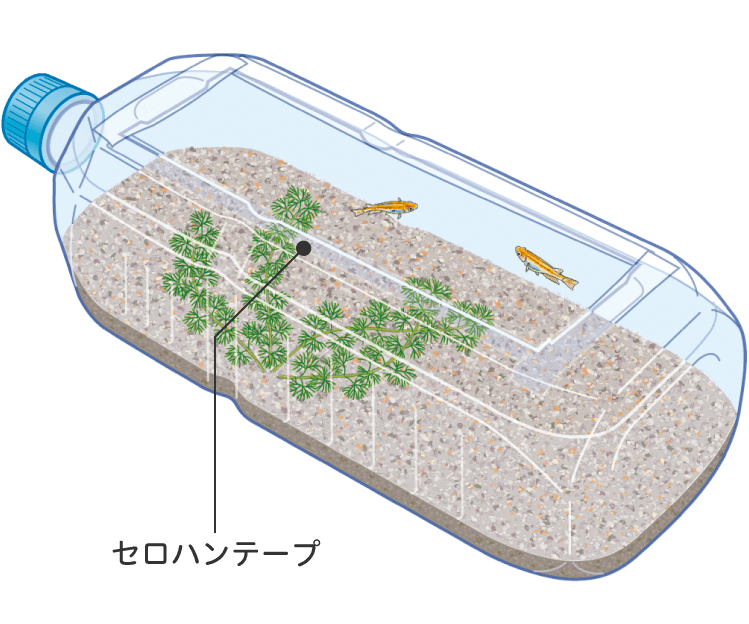 ペットボトルを使った飼い方