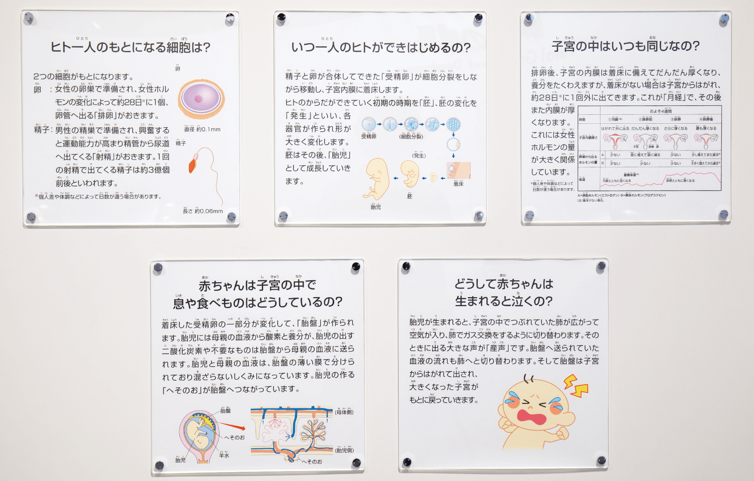 名古屋市科学館の資料1