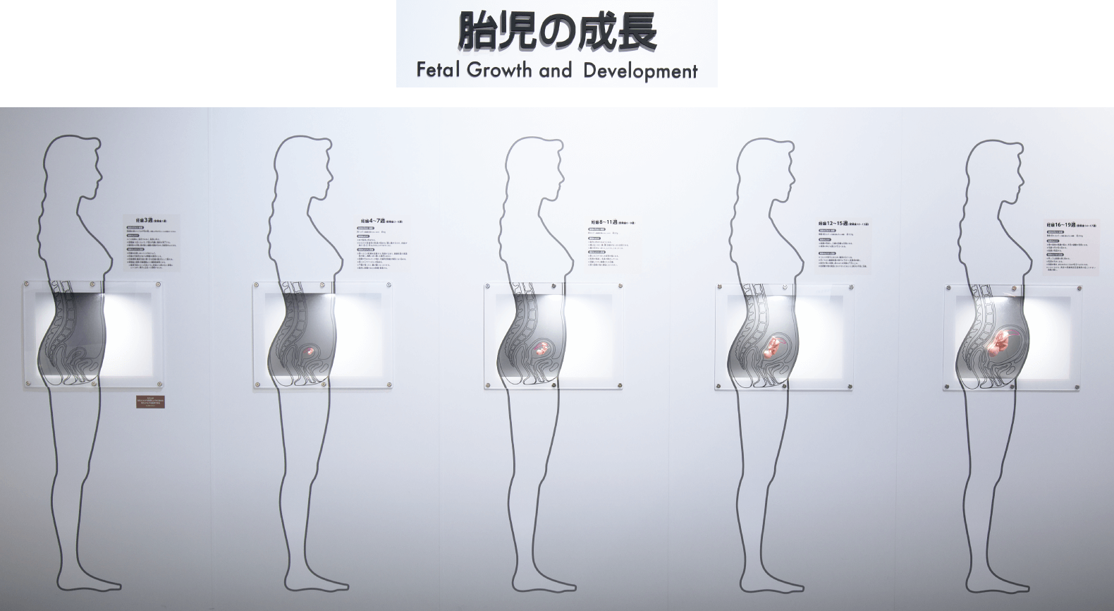 名古屋市科学館の資料2