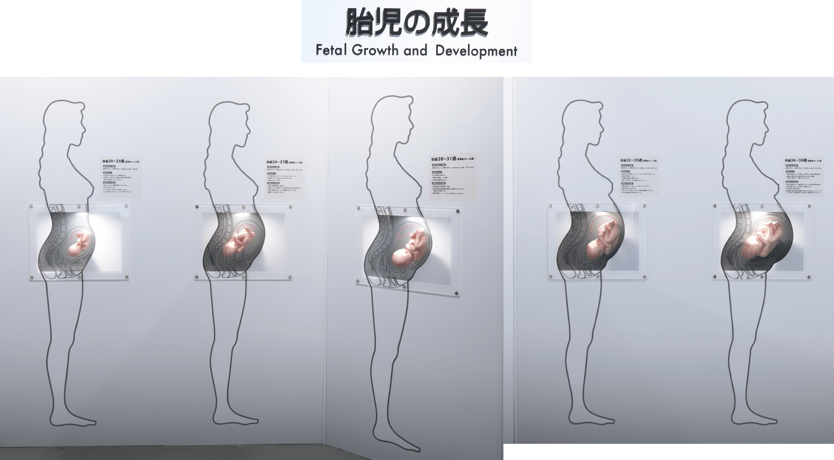 名古屋市科学館の資料3