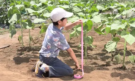 植物の高さの調べ方