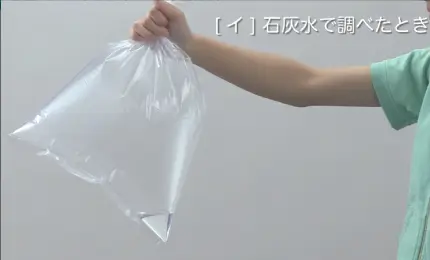 石灰水を用いたとき（方法）