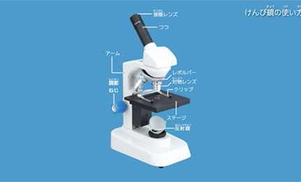 けんび鏡の使い方