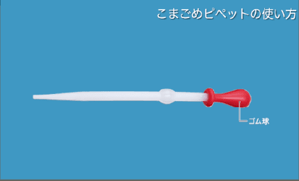 こまごめピペットの使い方